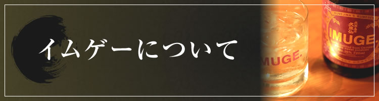 イムゲーについて